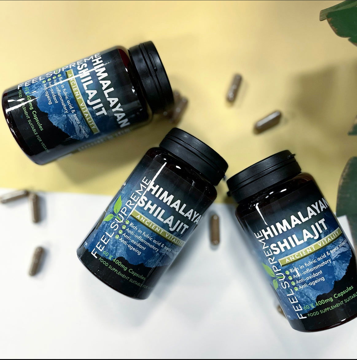 Himalayan Shilajit Capsules 60 Servings