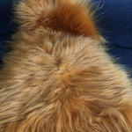 Icelandic Longhair Sheepskin Throw | Sheep Skin Rug | Marigold Yellow