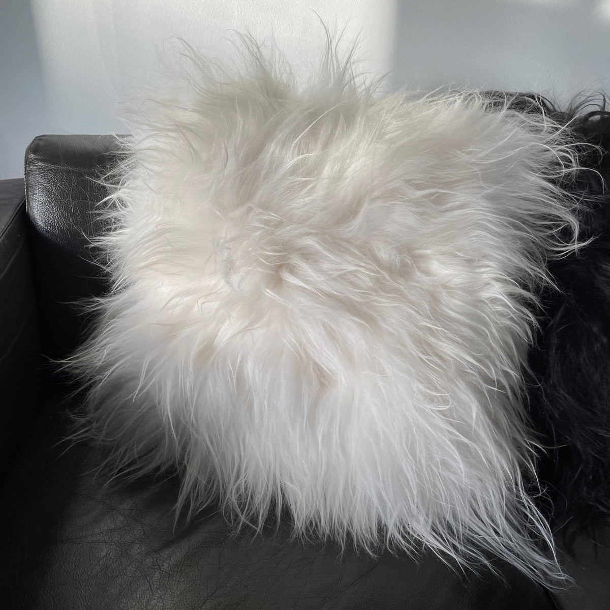 Icelandic Sheepskin Natural Long Natural White Cushion Square Double Sided