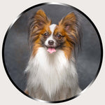 Illuminated Wall Art - Puppy 2