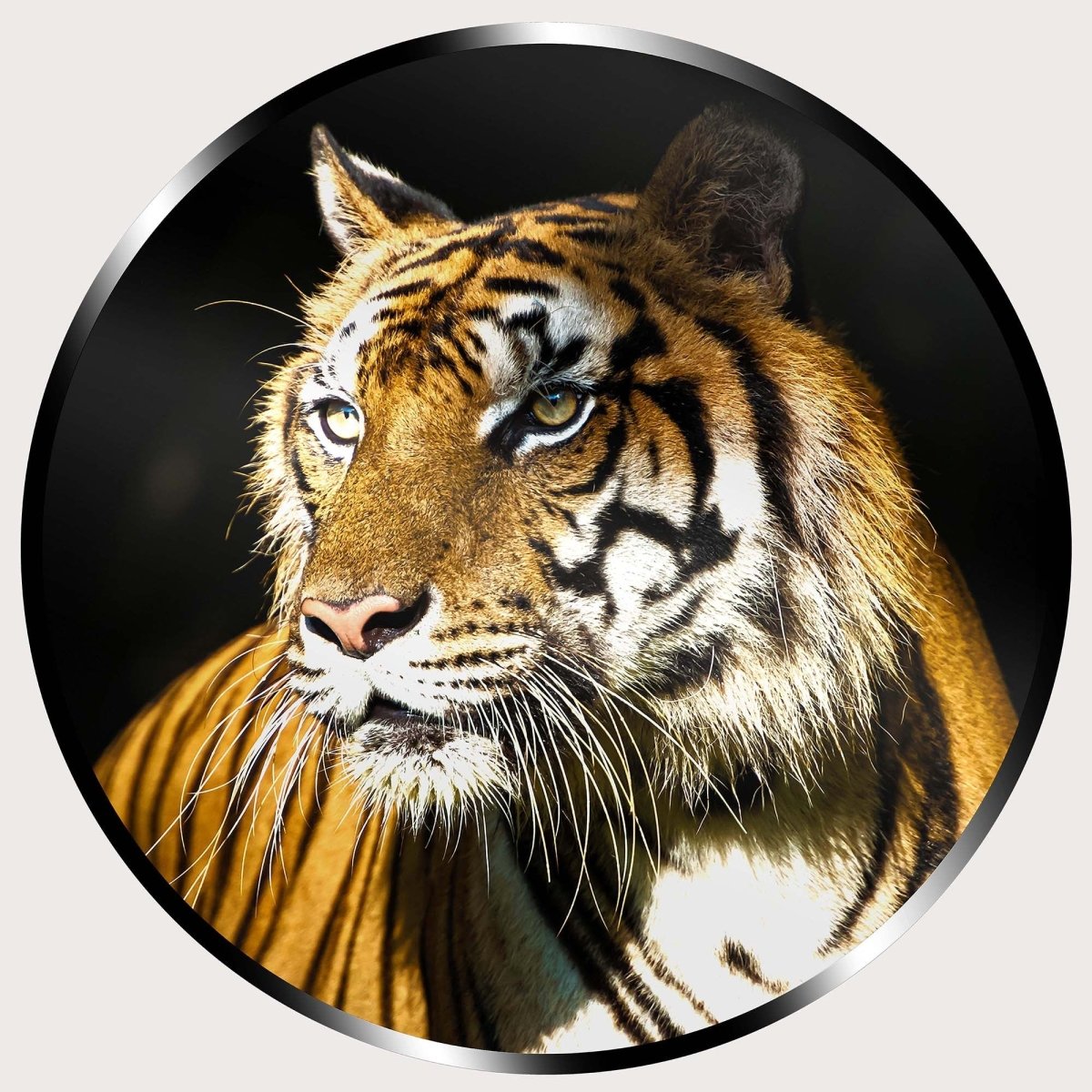 Illuminated Wall Art - Tiger 2