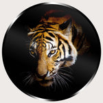 Illuminated Wall Art - Tiger 3