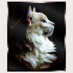Illuminated Wall Art - White Cat
