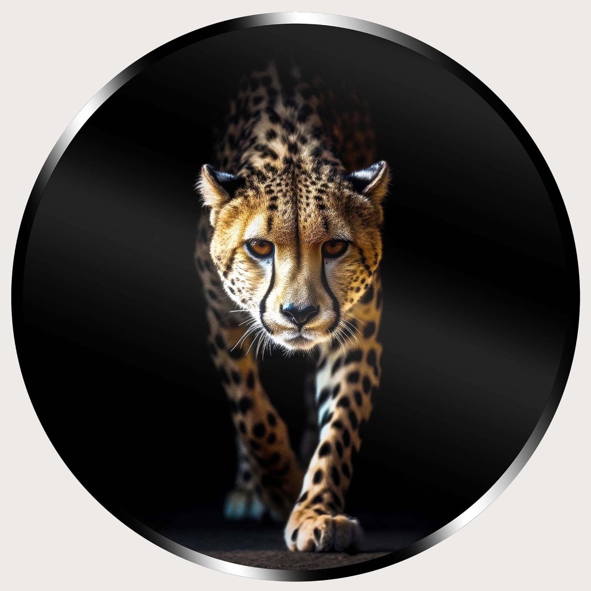 Illuminated Wall Art - Wild Leopard