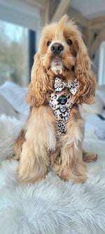 Sage Leopard Design Dog Collar