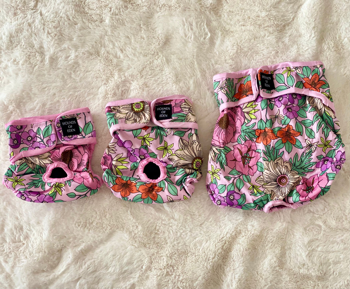 Wild Blossom - Dog Season Hygiene Panties