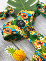 Pupaya Design Dog Harness