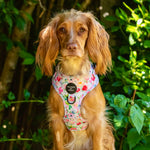 Ziggy's Secret Garden Design Dog Collar