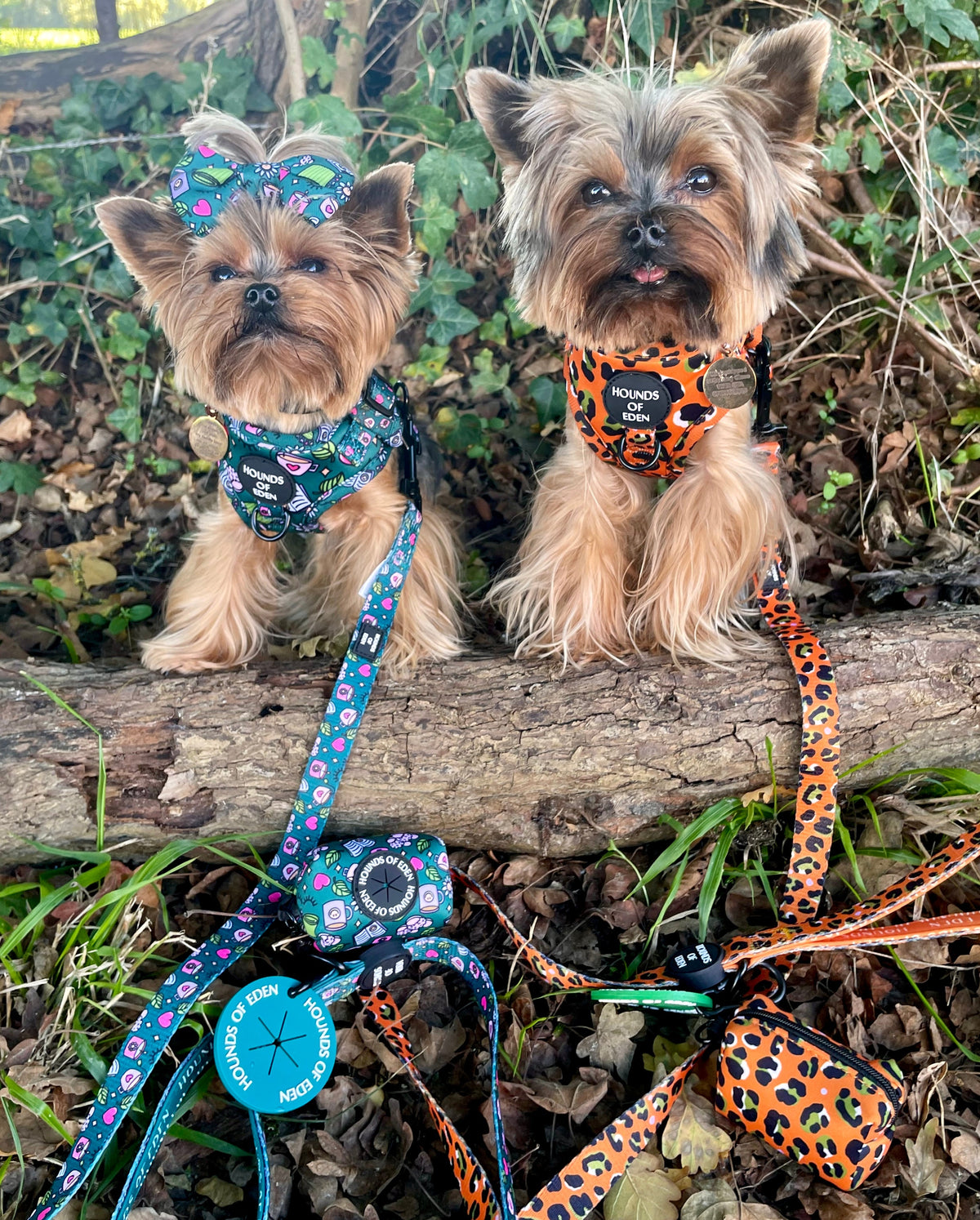 Burnt Orange Leopard Design Dog Harness