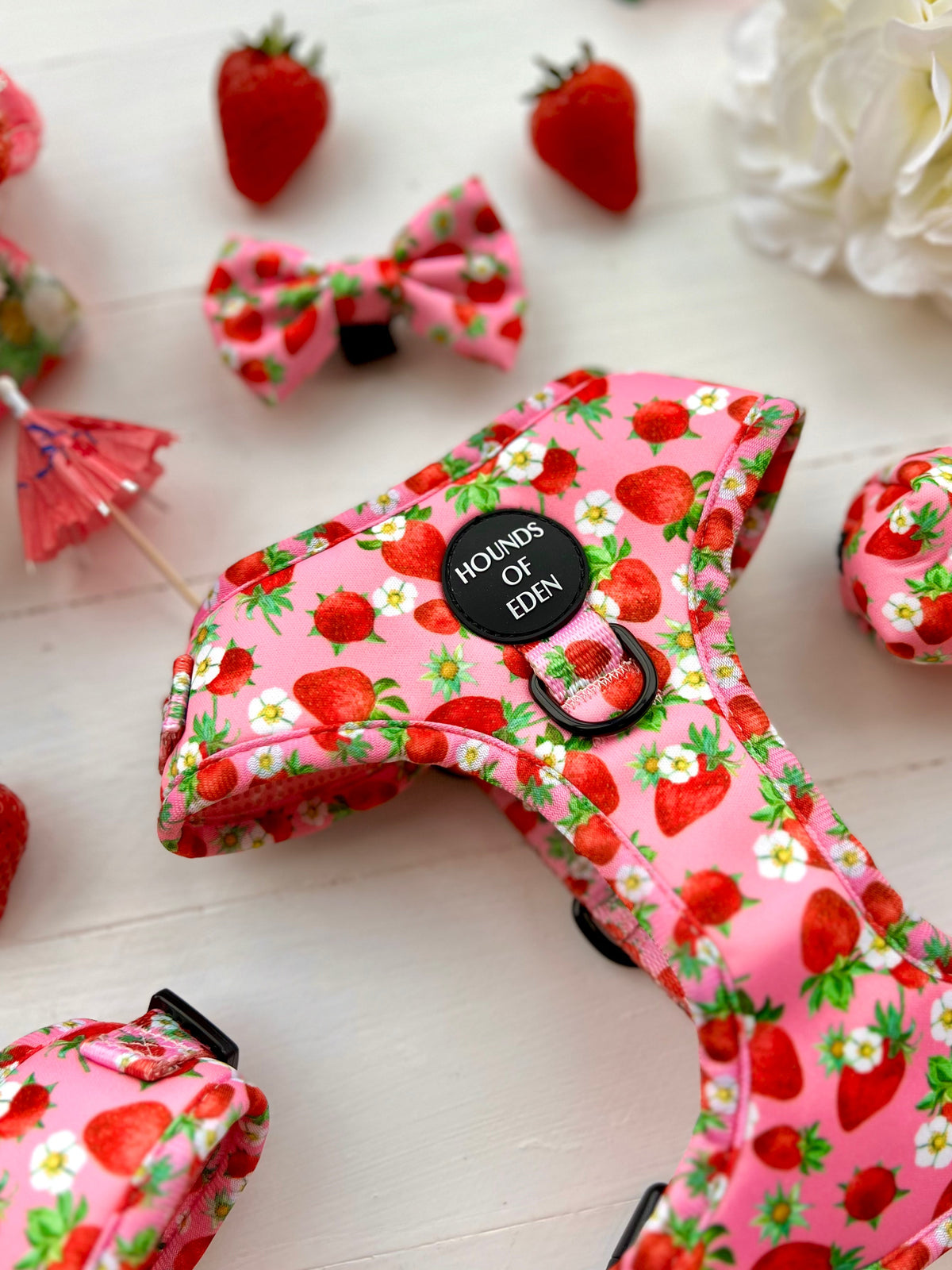 Strawberry Patch Design Dog Harness