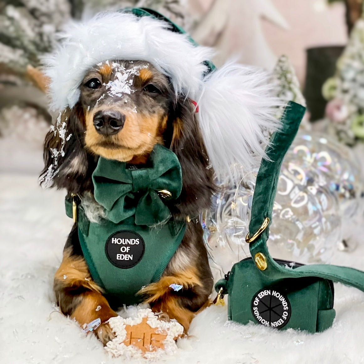 Olive Green Velvet Dog Harness