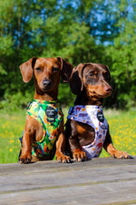 Pupaya Design Dog Harness
