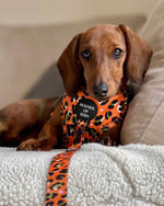 Burnt Orange Leopard Design Dog Harness