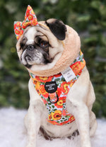 Autumn Blossom Faux Sherpa Fleece Dog Snood