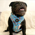 Grill 'n' Chill - Dog Harness