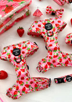 Strawberry Patch Design Dog Harness