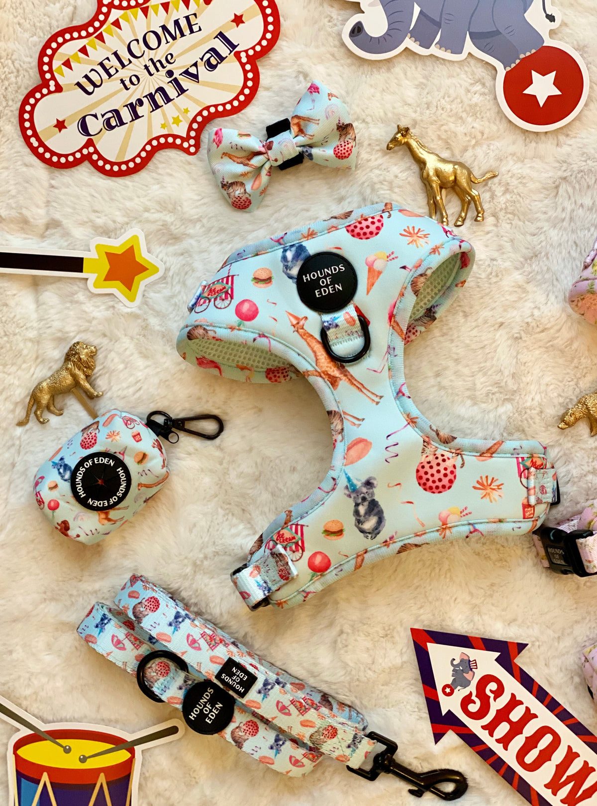 CIRCUS PUP - Dog Harness