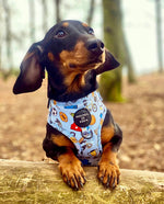 PUPTHLETICS - Dog Harness