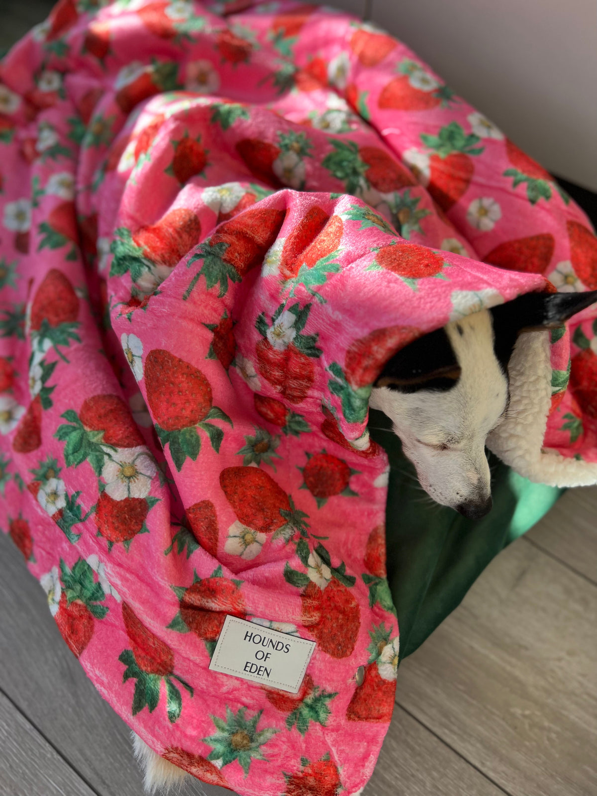 Strawberry Patch Design Dog Harness