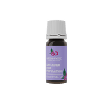 Lavender Essential Oil - Fine Population