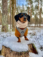 Soft Cotton Blend Dog Hoodie Purple