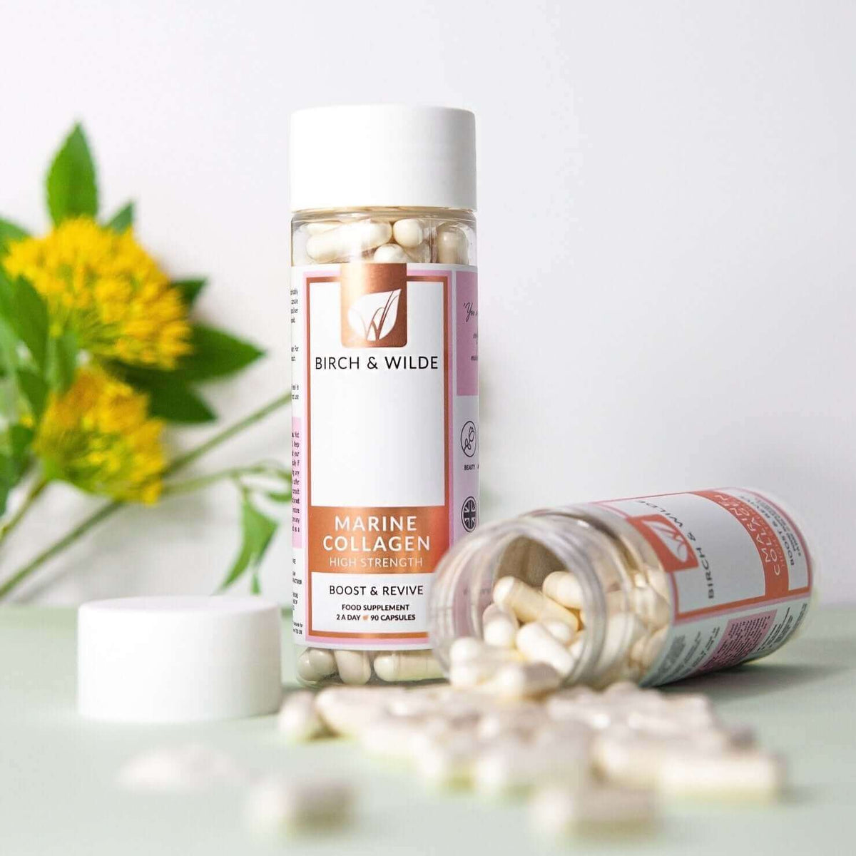 Birch & Wilde Marine Collagen 1200mg 90 Capsules