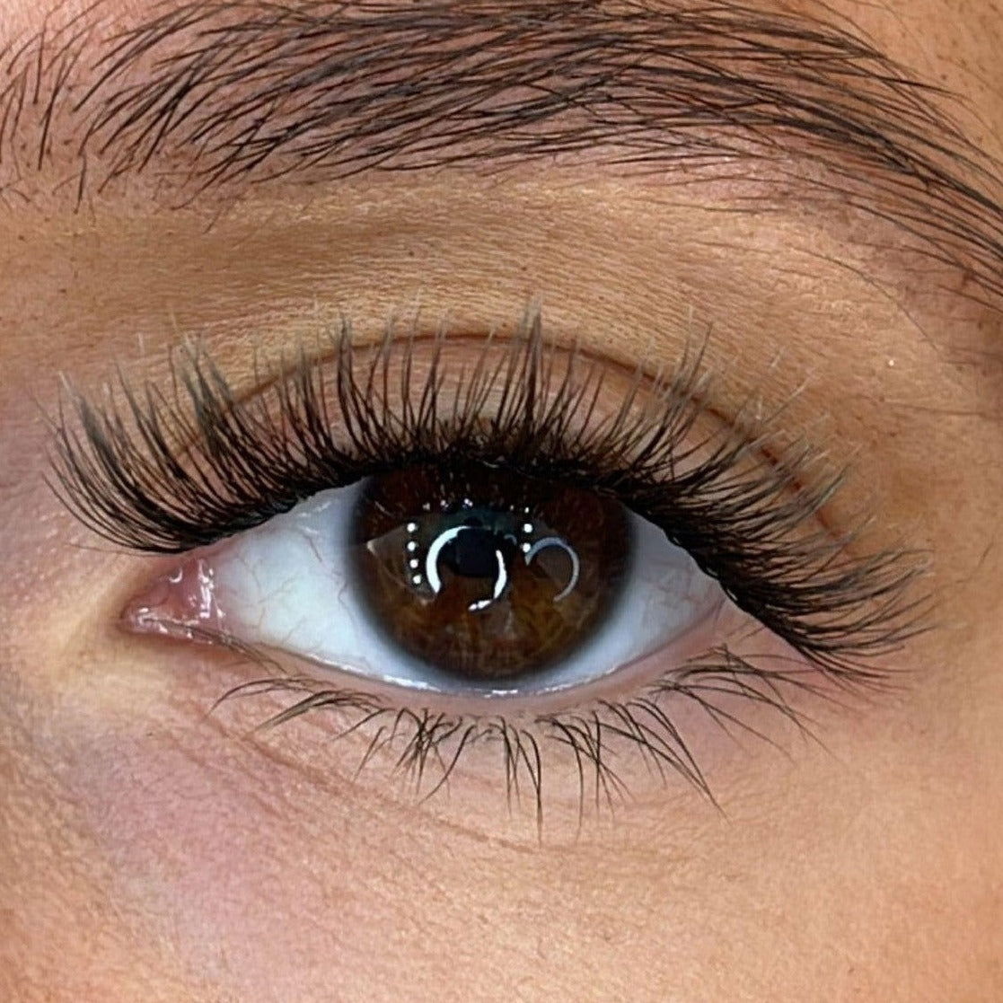 Maya - Weightless 'C' Curl Pre-Cut Lash Ribbons®