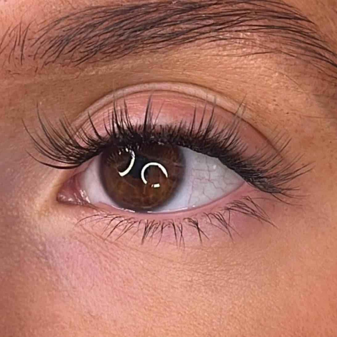 Meryl - 3D 'D' Curl Lash Ribbons®