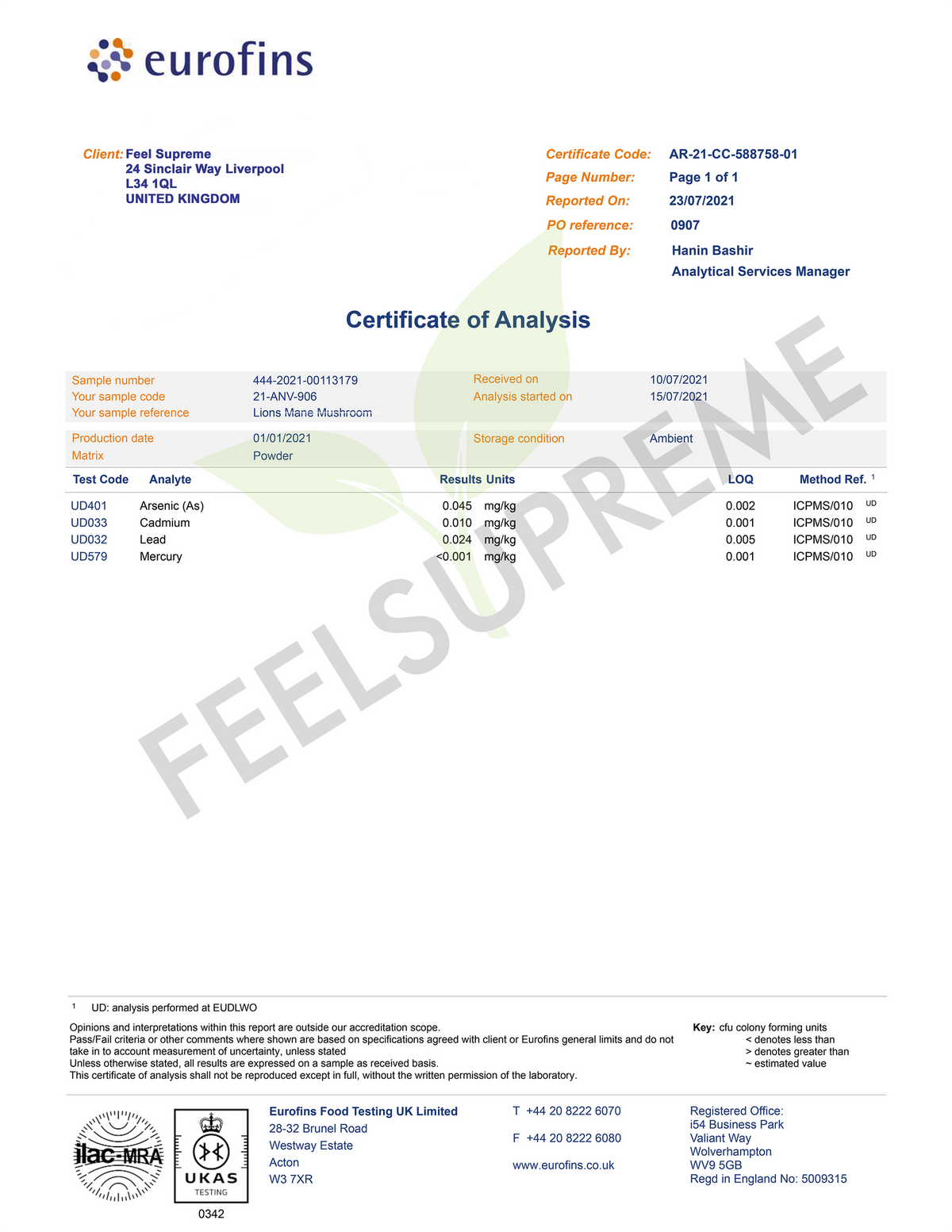 Organic Lion's Mane Mushroom Extract 60ml