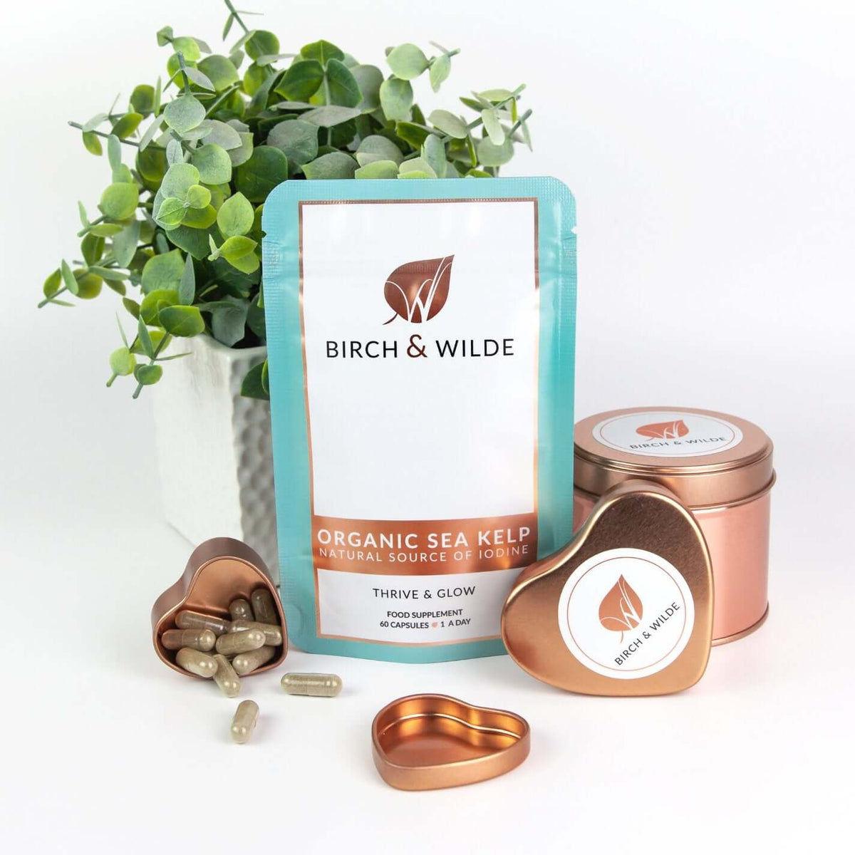 Organic Sea Kelp Supplement Capsules x 60 | Natural Iodine | 2 Month Refill Pouch