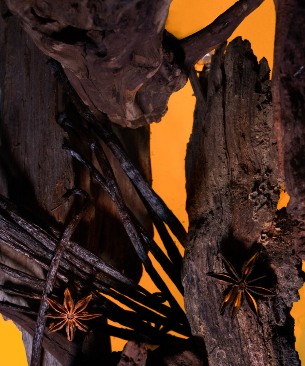 Maïssa Paris Oud Bourbon 100ml