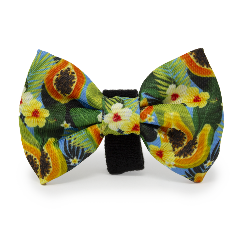 Pupaya Design Dog Collar