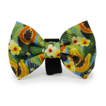 Pupaya Design Dog Collar