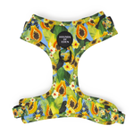 Pupaya Design Dog Harness