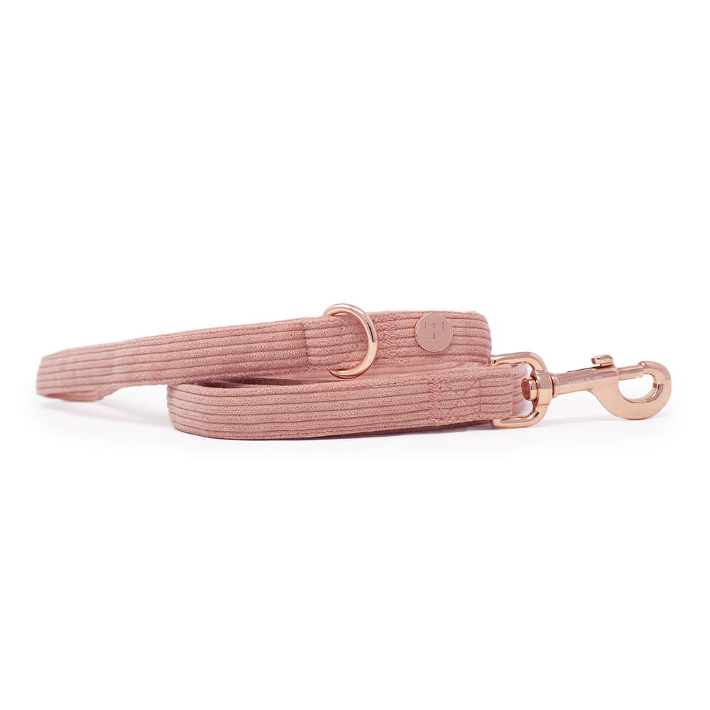 Peach Schnapps - Pink Corduroy Harness