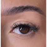 Premium Christmas Collection Limited Edition Starter Kit