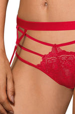 Roza Cyria Red Briefs