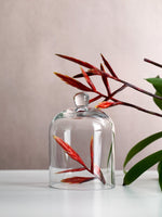 Small Vintage Glass Cloche Domes