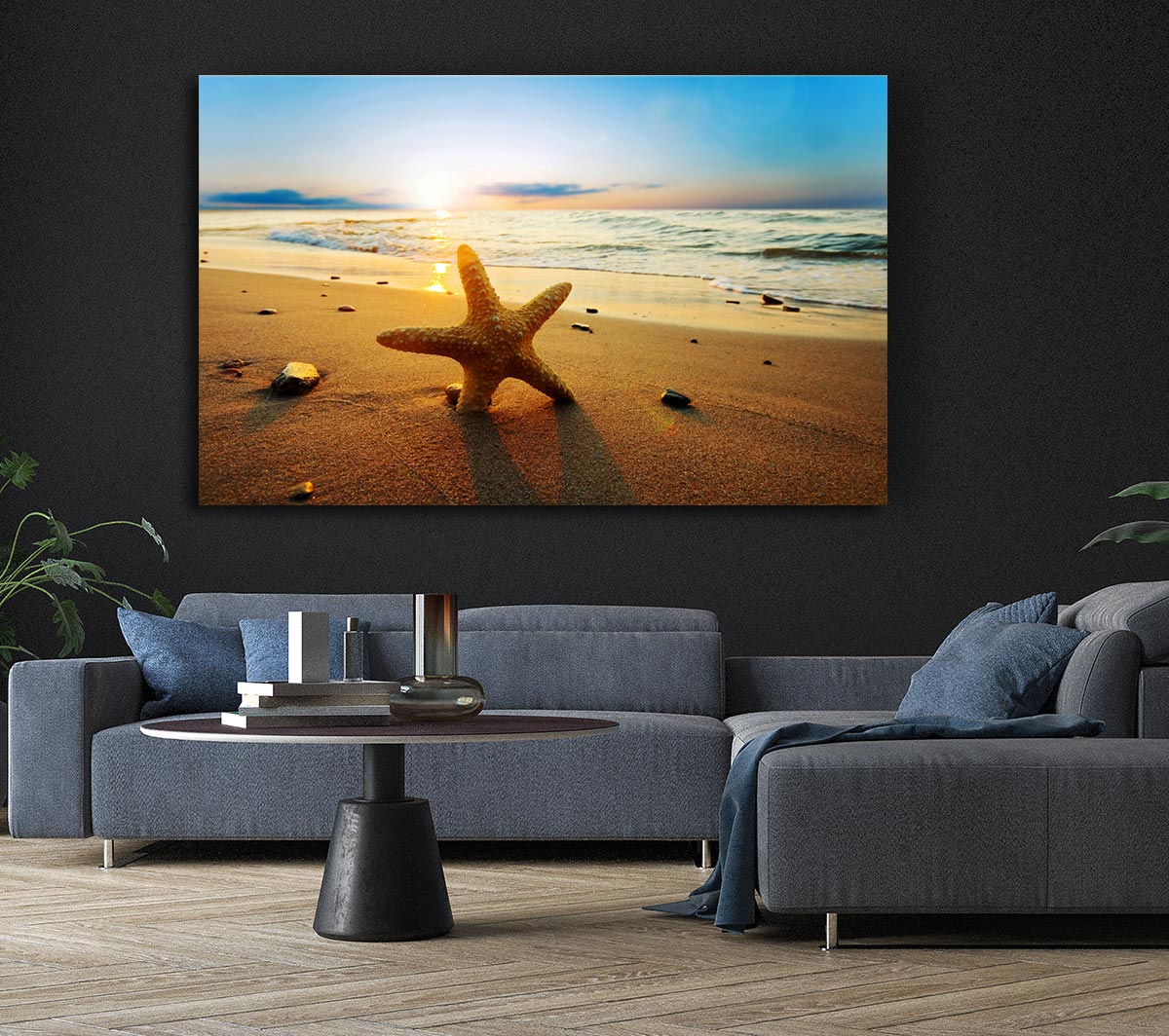Starfish Sun Glow
