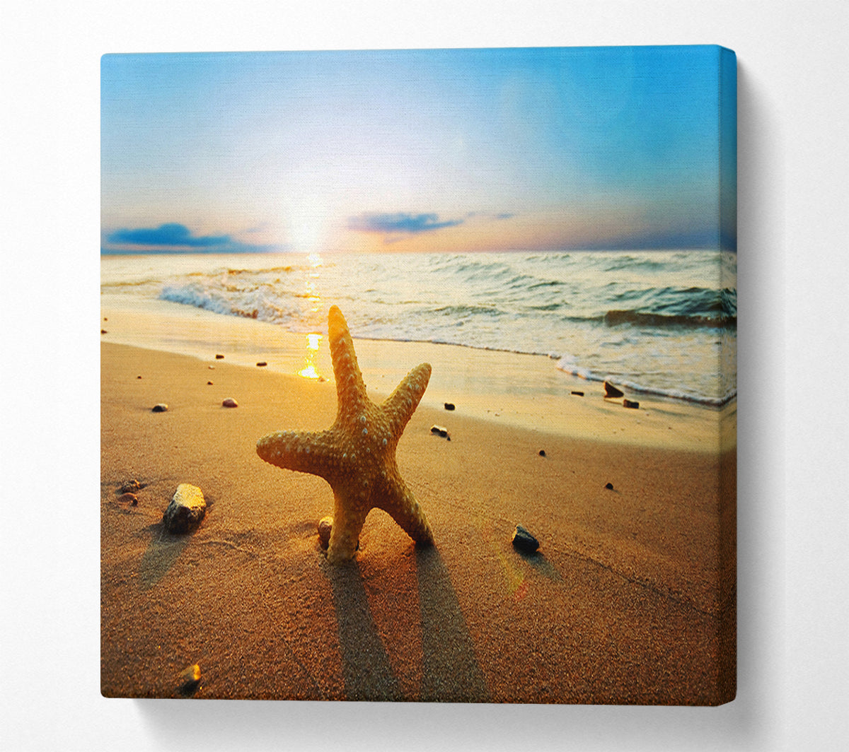 Starfish Sun Glow Square