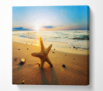 Starfish Sun Glow Square