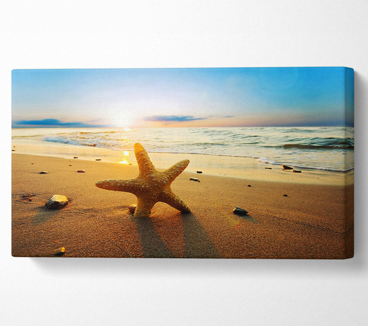 Starfish Sun Glow Panoramic