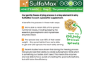 SulfaMax™ Organic Sulforaphane 1 Month Supply 60 Capsules