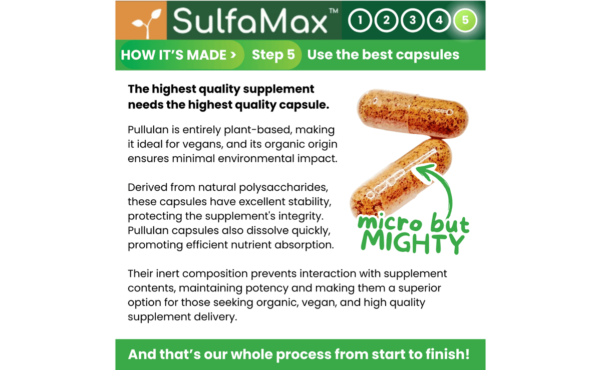 SulfaMax™ Organic Sulforaphane 1 Month Supply 60 Capsules