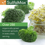 SulfaMax™ Organic Sulforaphane 1 Month Supply 60 Capsules