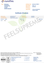 Supreme Greens and Mushroom Blend