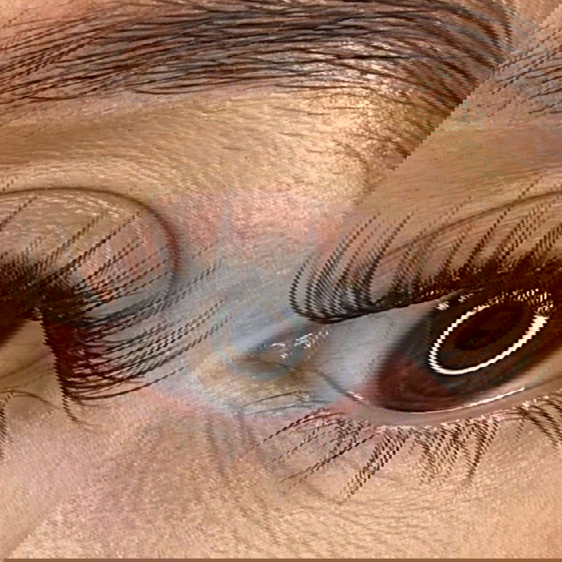 Tara - 'D' Curl Lash Ribbons®