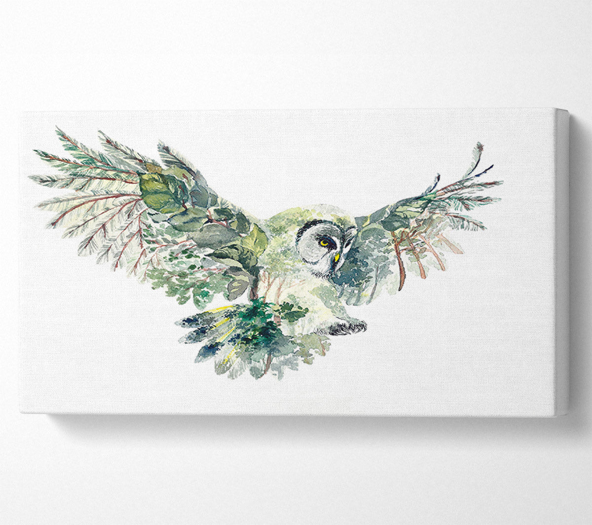 The Forest Owl Panoramic