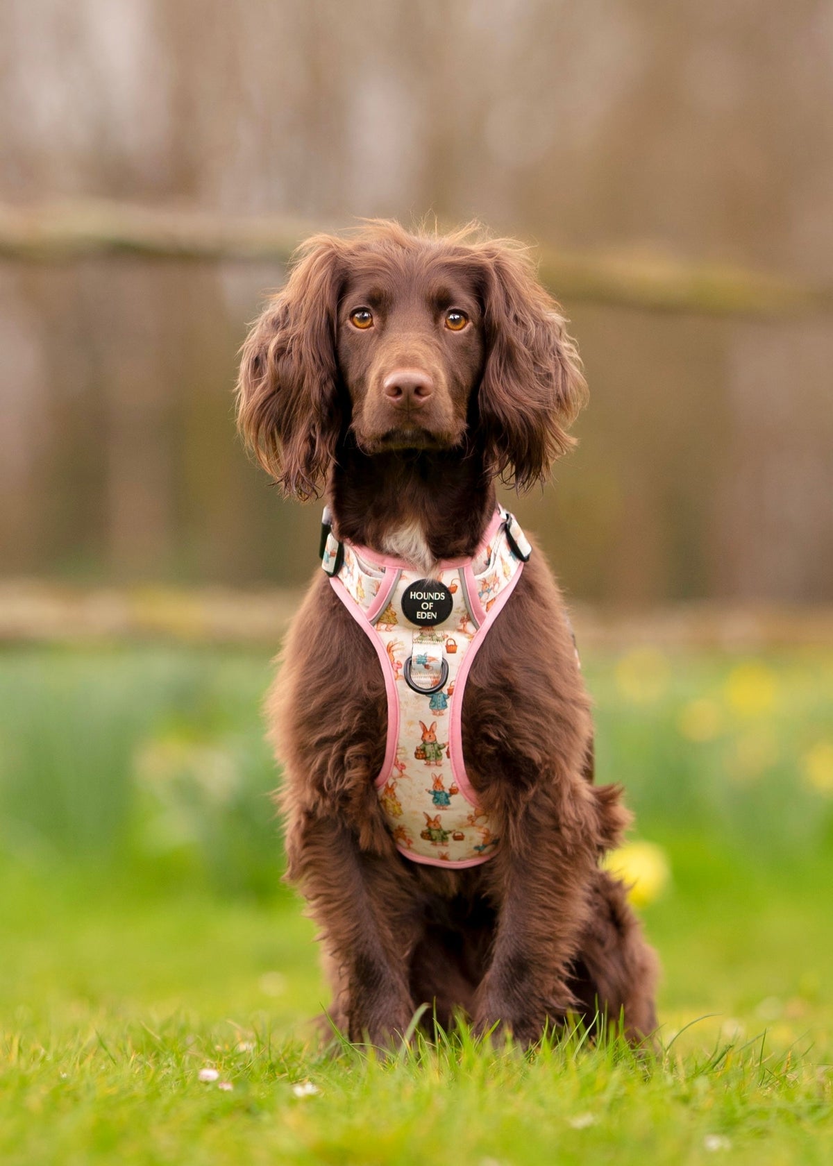 Bunny Tales - Pink, Dog Supaw Strong™ Lite Harness (XS-XL)