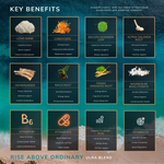 Ultra Mushroom Blend Blue Raspberry Flavour